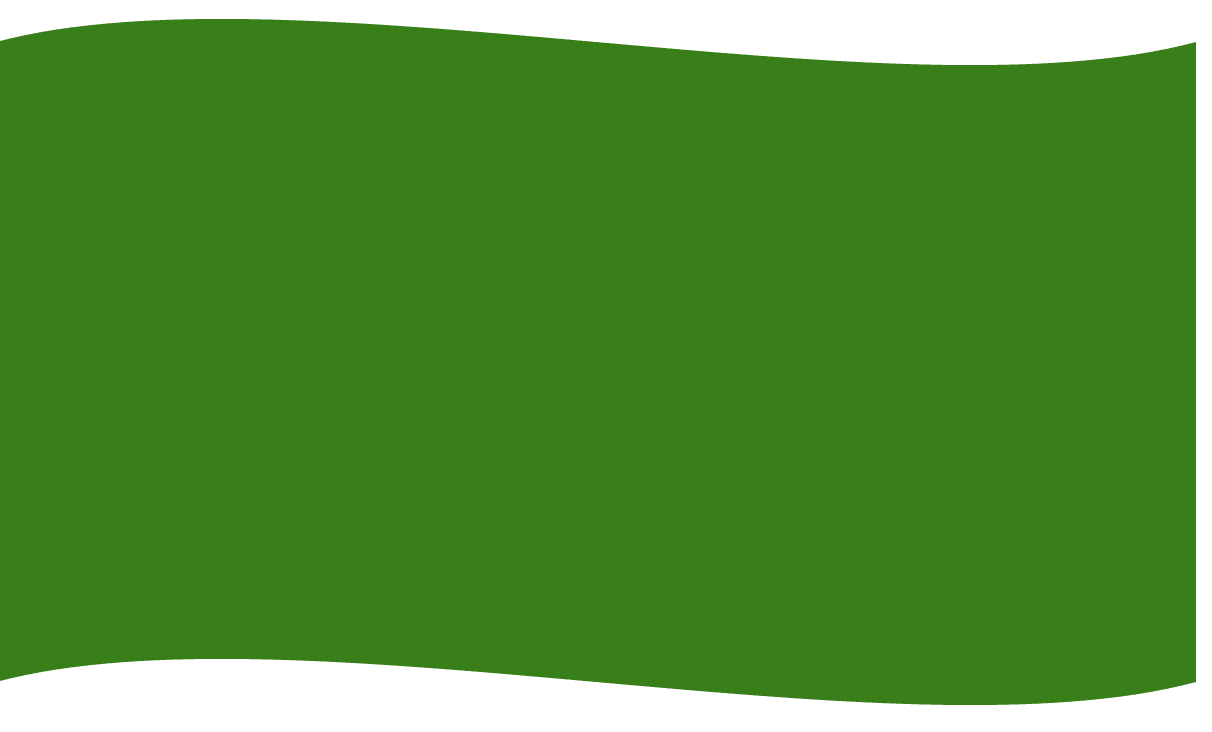 Forme de drapeau vert avec des lignes incurvées en haut et en bas.