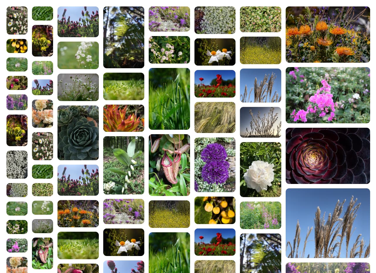 Çeşitli parça boyutlarına sahip duvar düzeni.