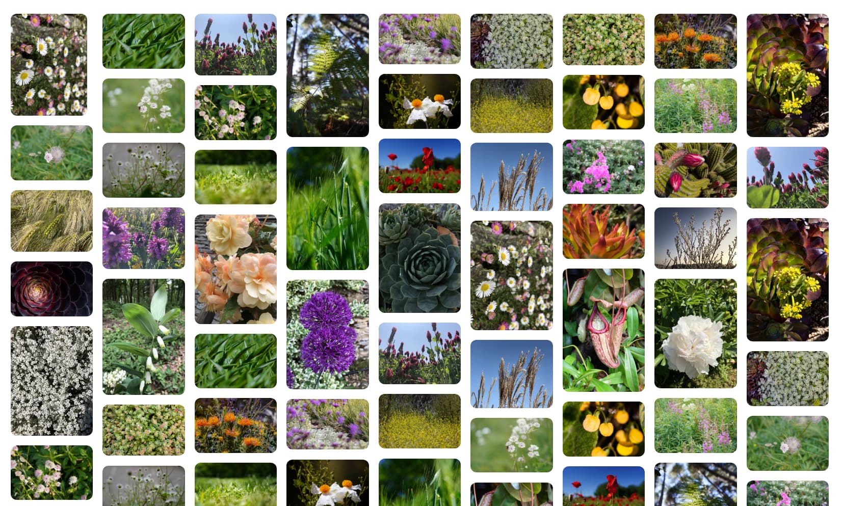 طرح‌بندی بنایی با ستون‌های با اندازه خودکار.