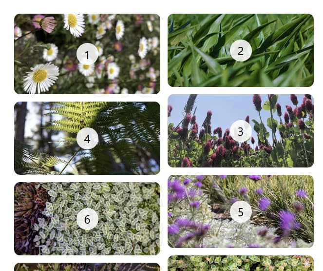 দুই-স্তম্ভের রাজমিস্ত্রির বিন্যাস।