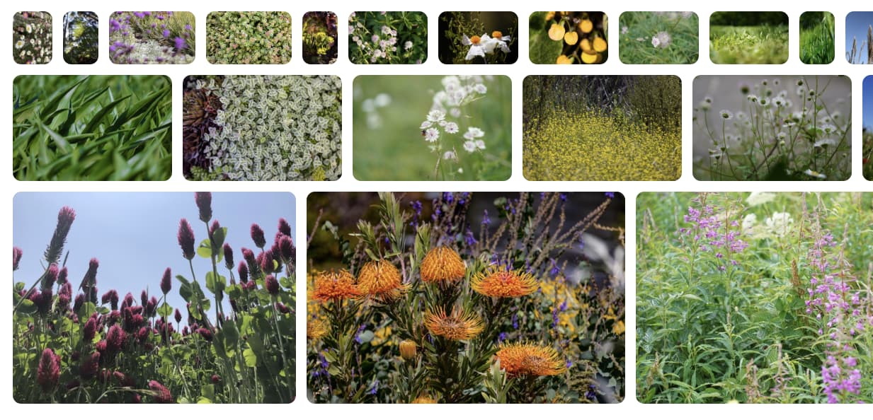 تنسيق البناء مع ثلاثة صفوف تزداد حجمًا تدريجيًا