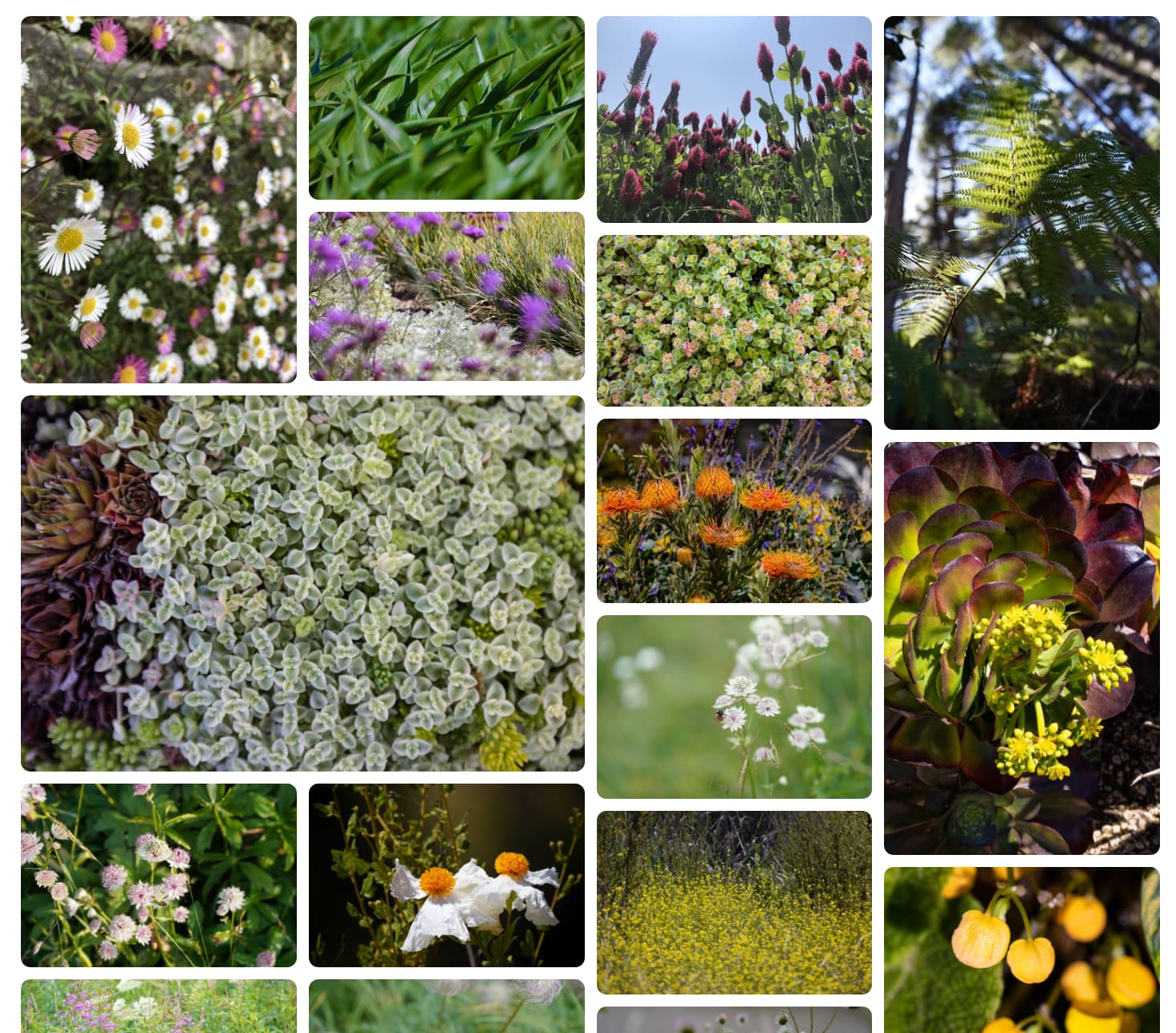 Metselwerklay-out met elementen die zich over meerdere sporen uitstrekken.