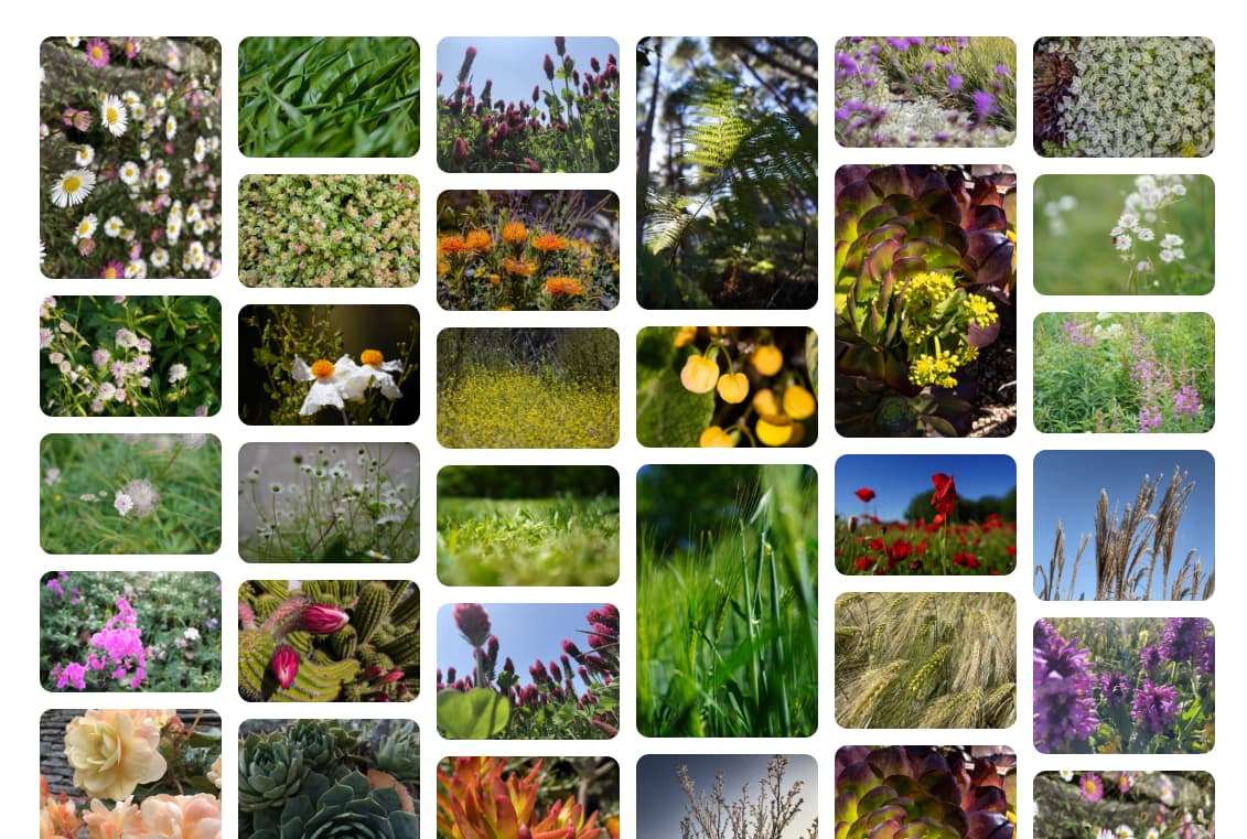 طرح بنایی که در آن همه ستون‌ها اندازه یکسانی دارند.