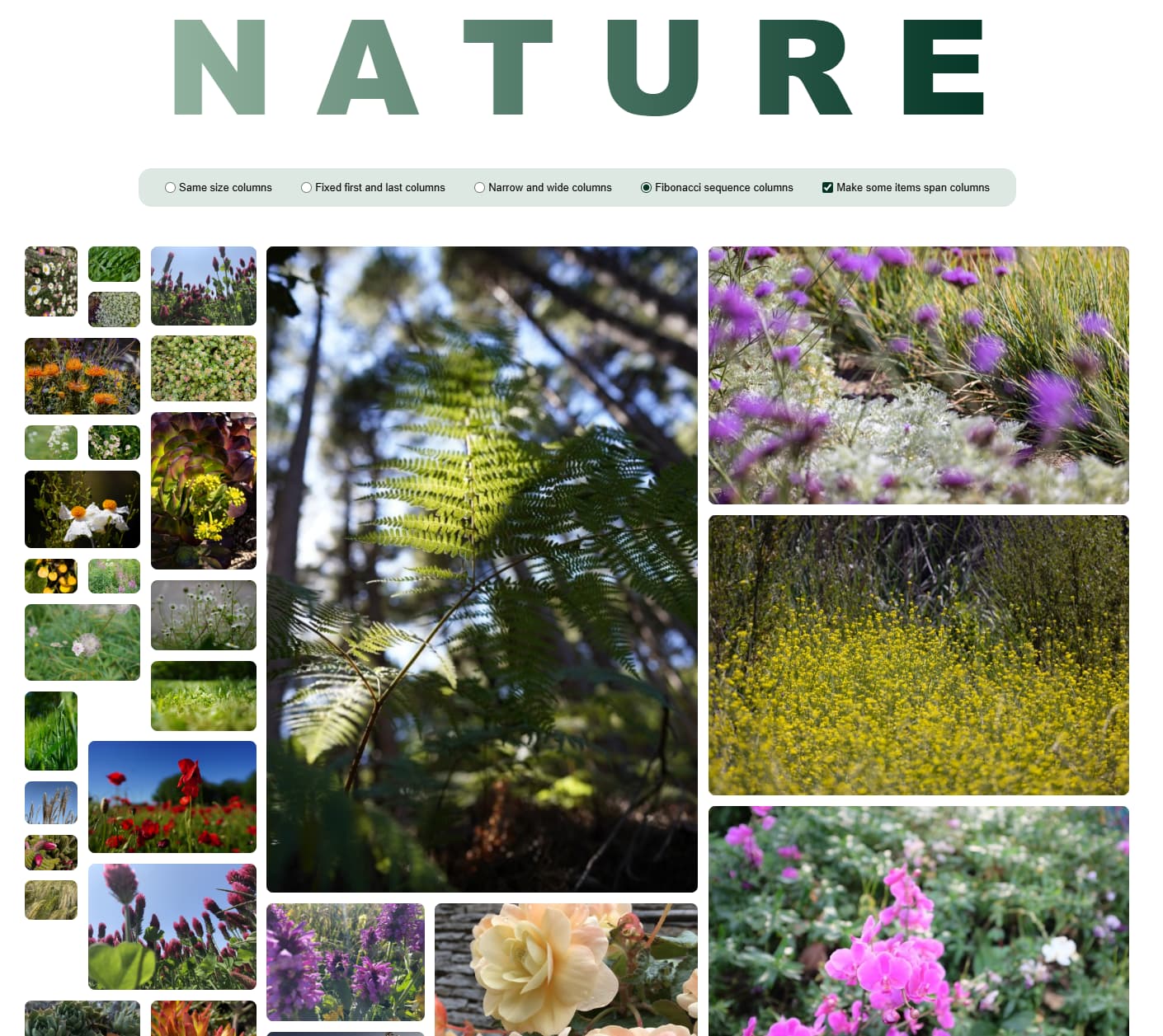 摄影网站的 Masonry 布局。