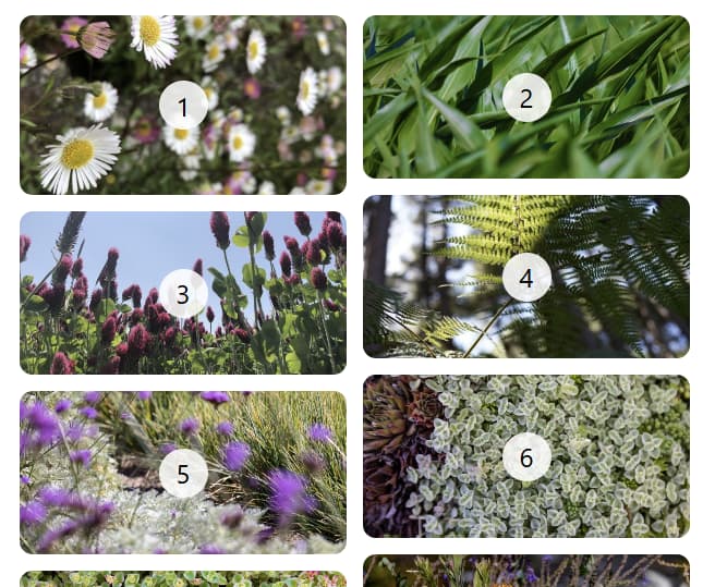 Mise en page masonry à deux colonnes.