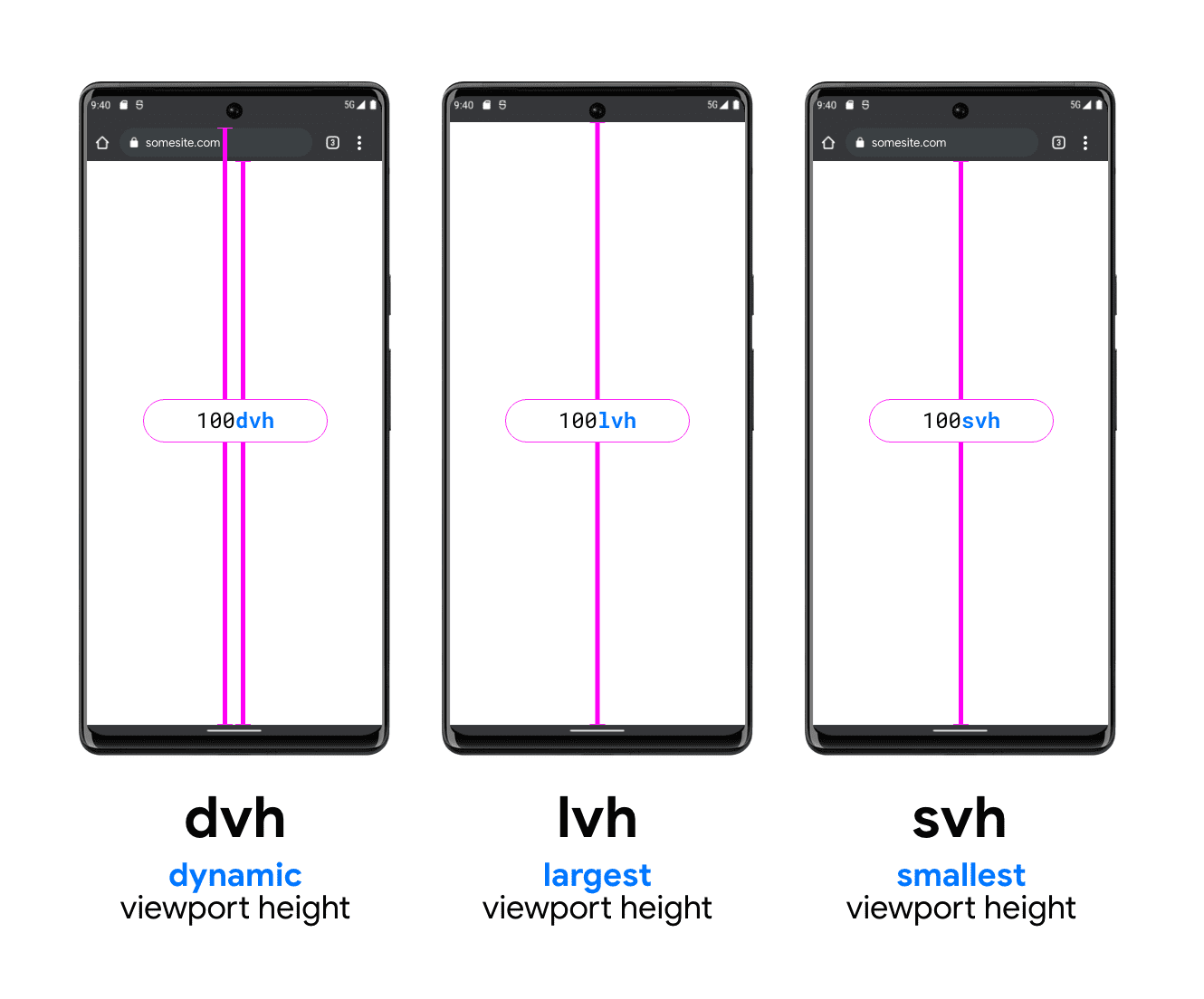 The different parts of the viewport for each type of viewport unit.