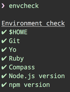 Environment check screenshot