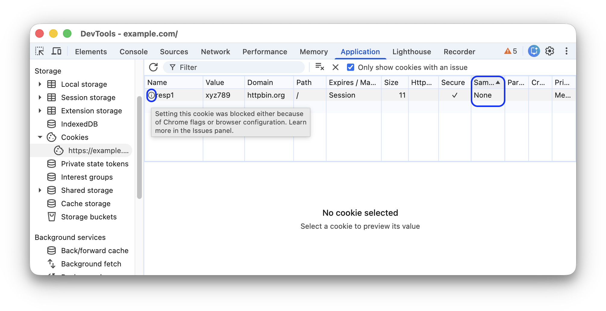 Cookies with the SameSite=None attribute in the Storage section.