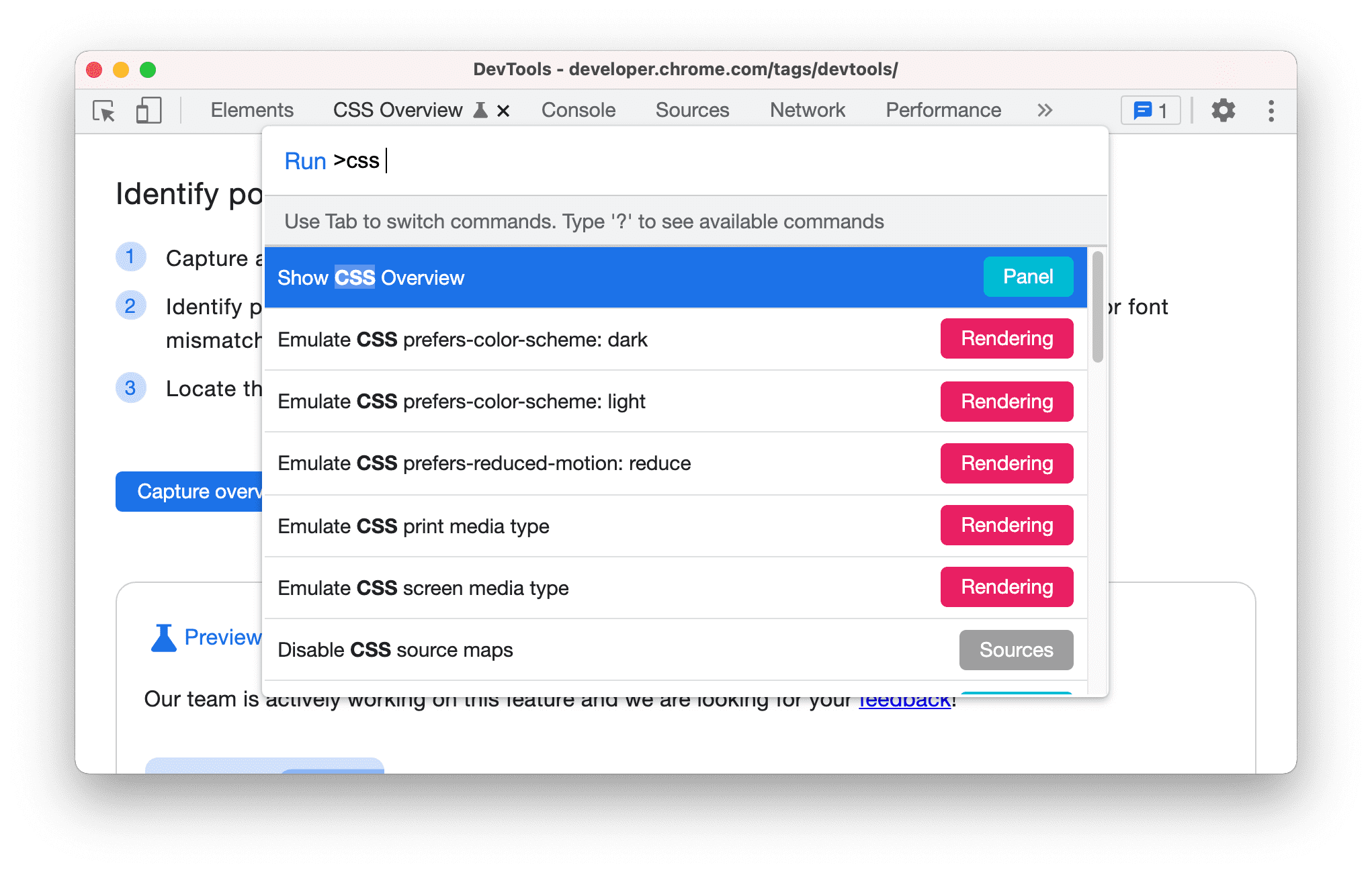 コマンド メニューに [CSS の概要を表示] コマンドが表示される。