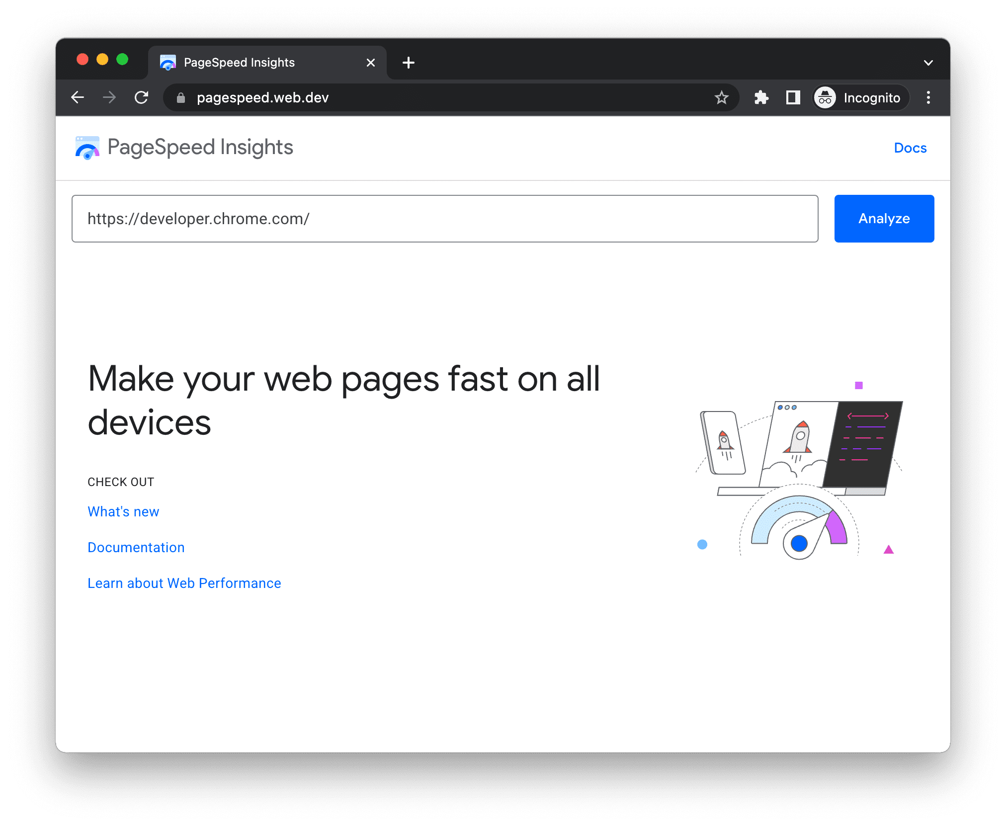 Interface do PageSpeed Insights