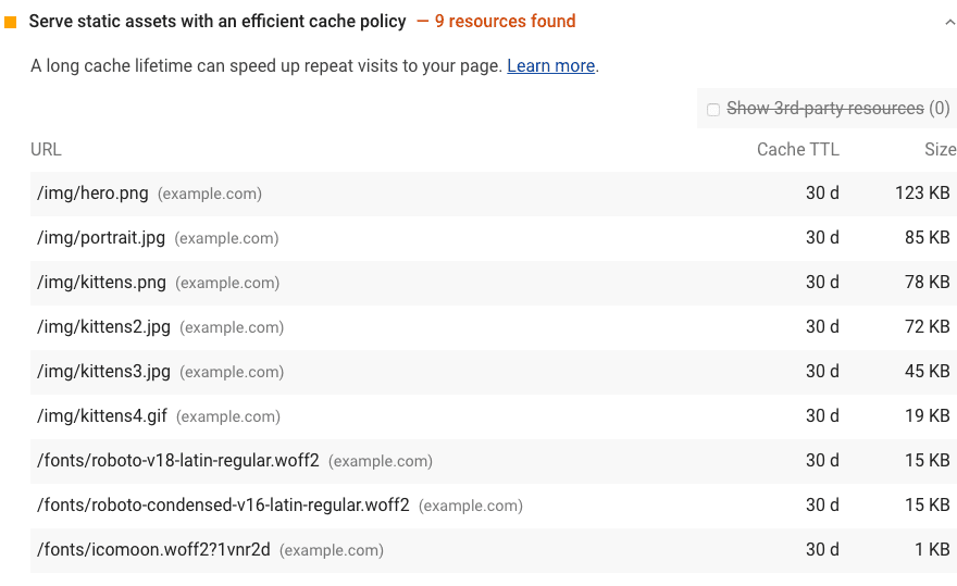 Uma captura de tela dos recursos estáticos do Lighthouse Serve com uma auditoria de política de cache eficiente