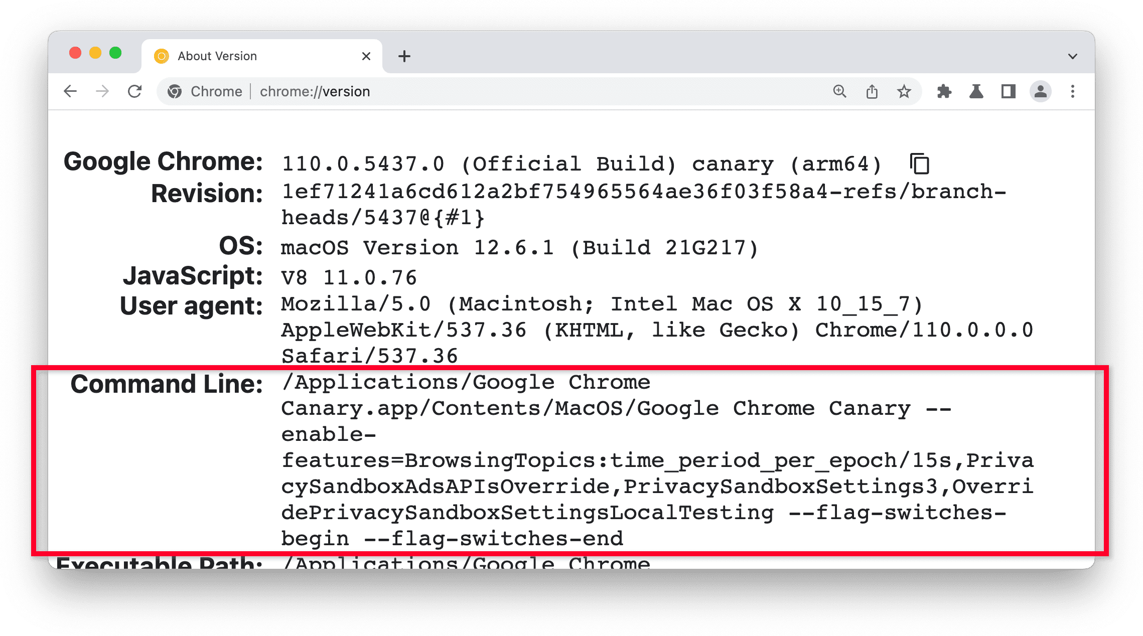 Chrome Canary의 Chrome 버전 페이지, 명령줄 섹션이 강조 표시되어 있습니다.
