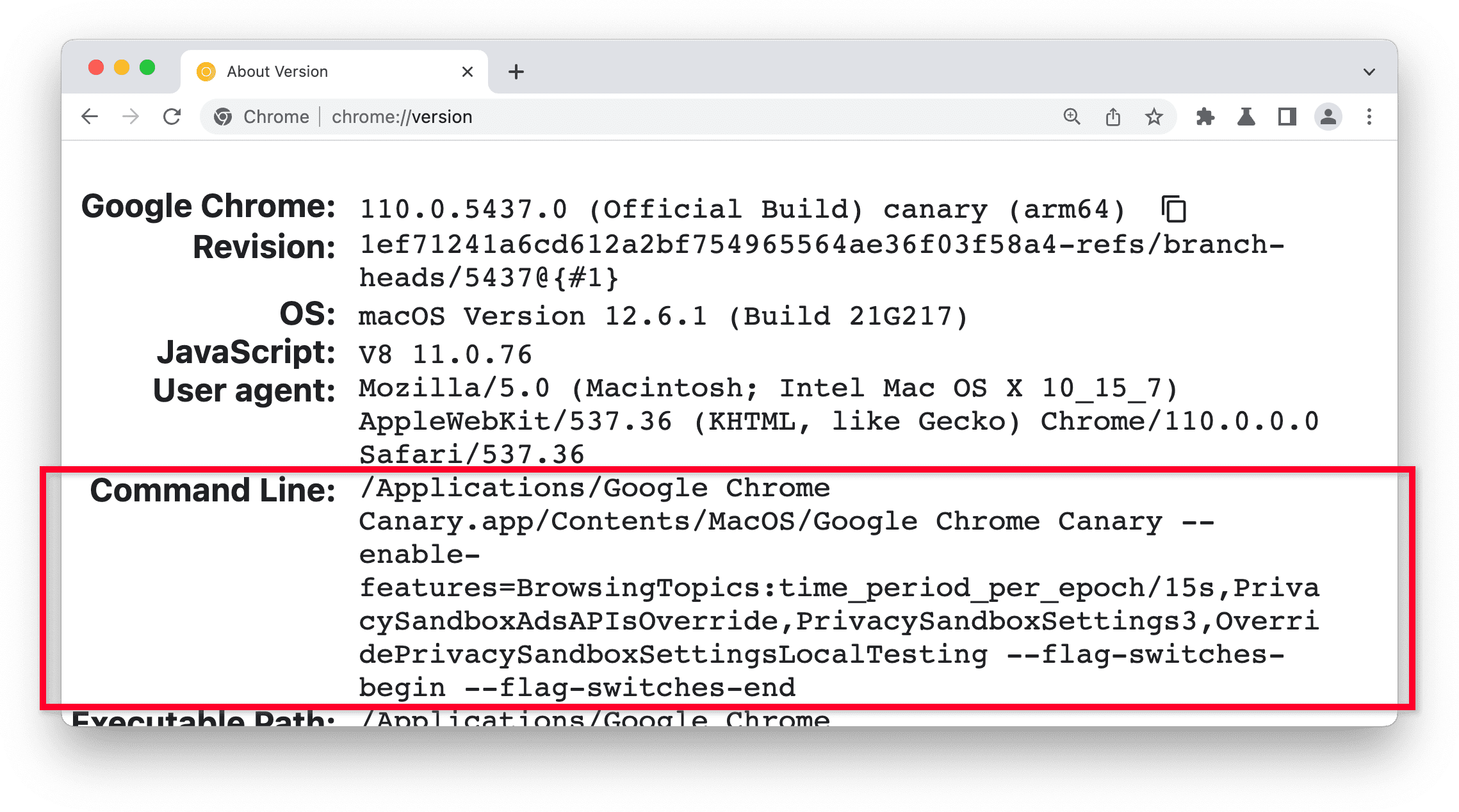 Chrome Canary 中的 chrome://version 页面，其中突出显示了“命令行”部分。