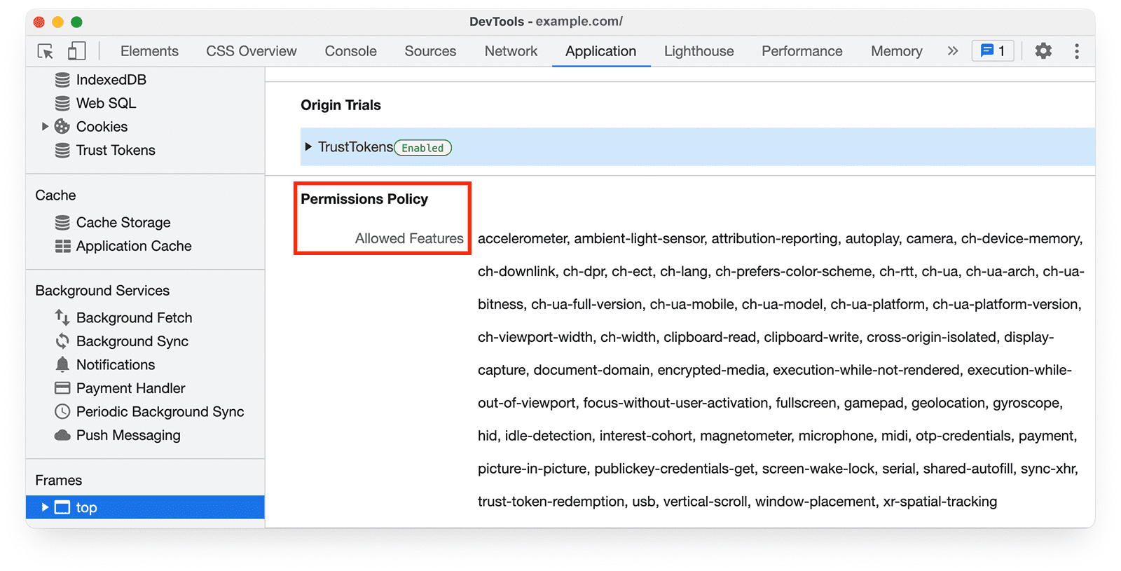 Dịch vụ Công cụ của Chrome cho nhà phát triển 
  Bảng điều khiển ứng dụng, hiển thị Tính năng được cho phép của chính sách về quyền.
